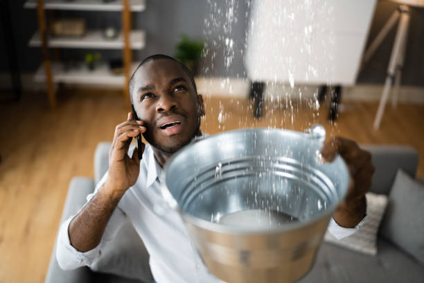 Best Water damage restoration specialists  in Desnso, CA