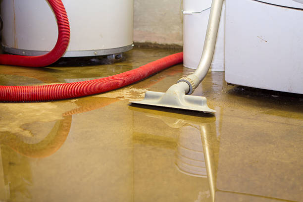 Best Commercial water damage restoration  in Desnso, CA