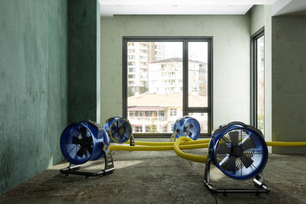 Best Water damage restoration near me  in Desnso, CA